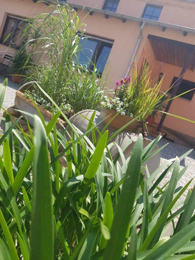 Hotel "Pension Marlis" Garni Reichenberg  Eksteriør bilde